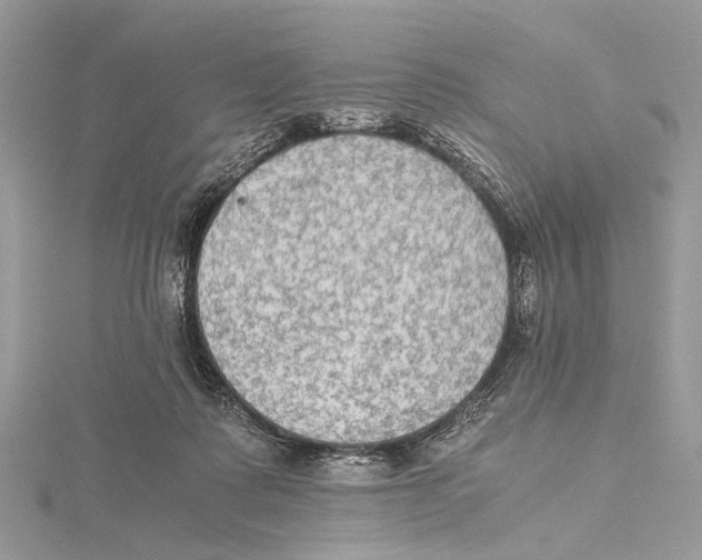 X0000115440315200912020950