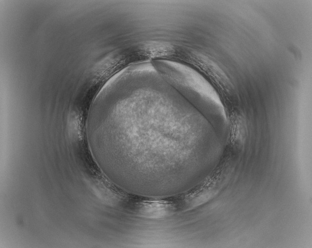 X0000115440316200912020950