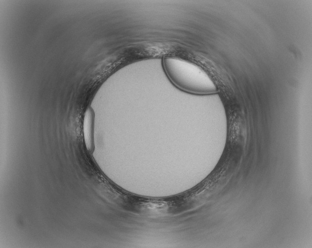 X0000115440317200912020950