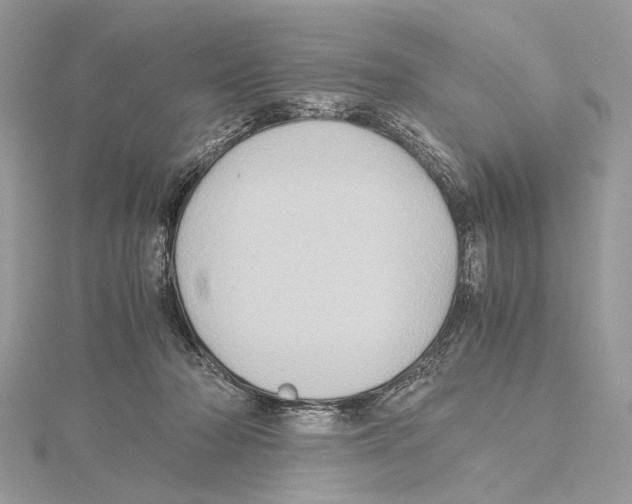 X0000115440318200912020950