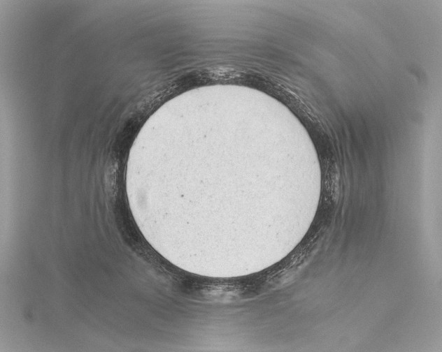 X0000115440319200912020950