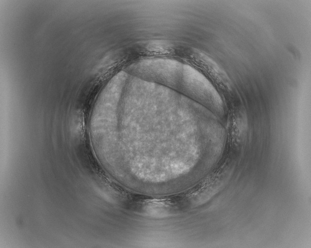 X0000115440320200912020950