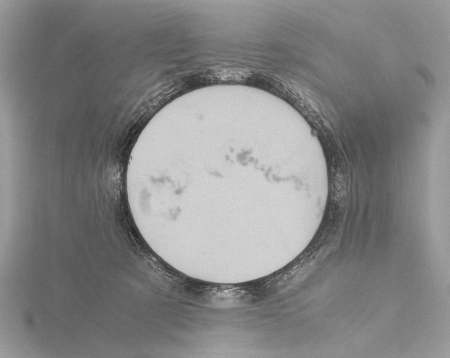 X0000115440321200912020950