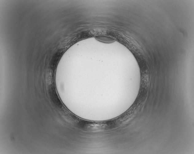 X0000115440323200912020950