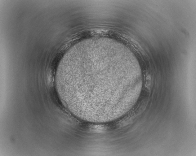 X0000115440324200912020950