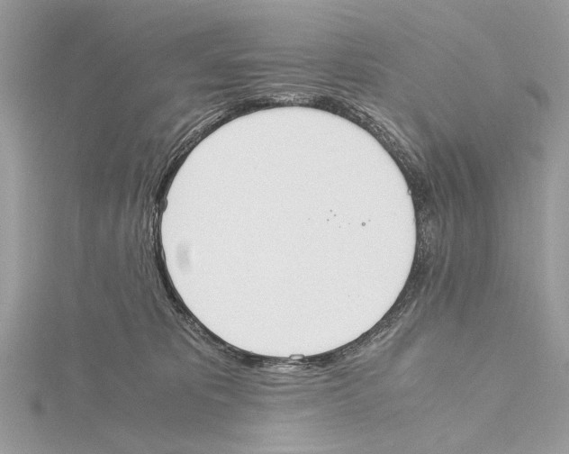 X0000115440325200912020950