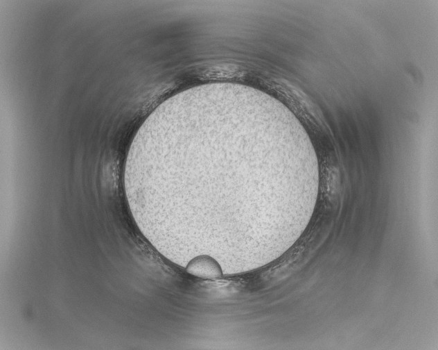 X0000115440326200912020950