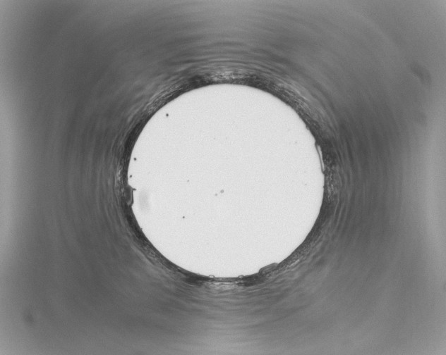 X0000115440327200912020950