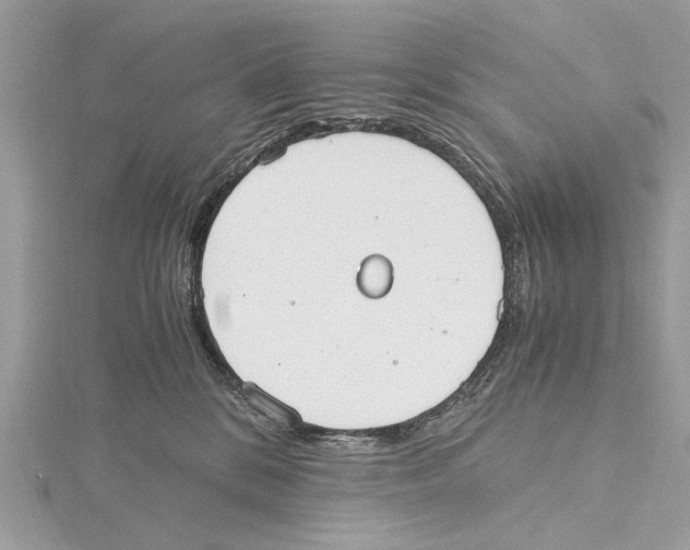 X0000115440328200912020950