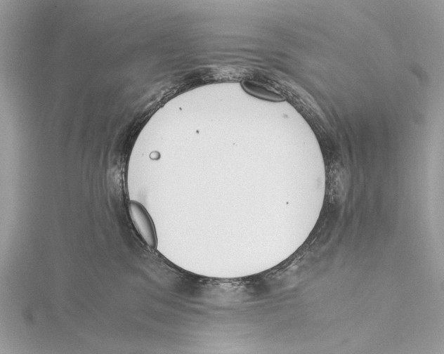 X0000115440329200912020950