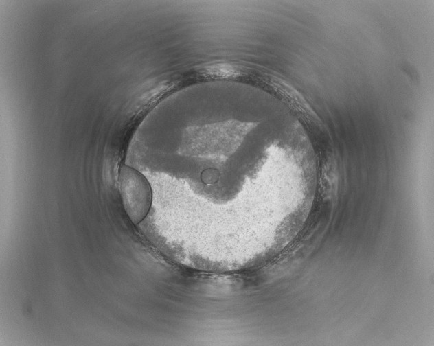 X0000115440330200912020950