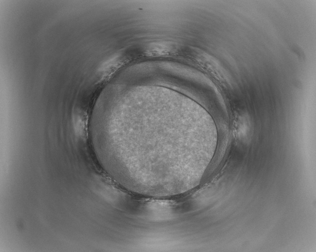 X0000115440332200912020950