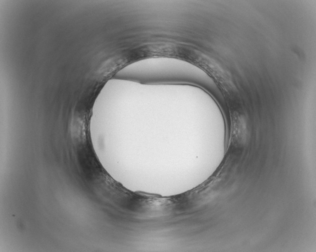 X0000115440333200912020950