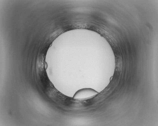 X0000115440334200912020950