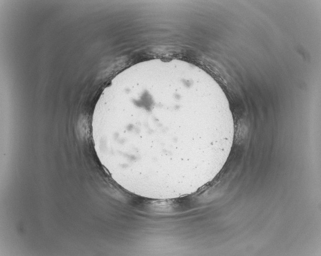 X0000115440335200912020950