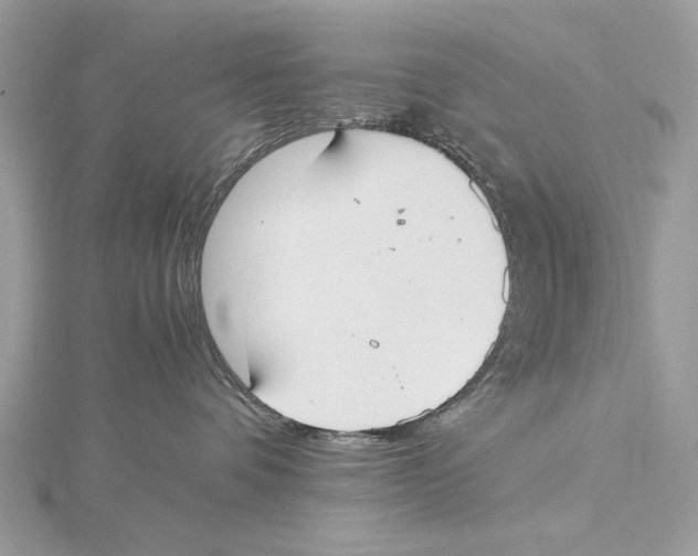 X0000115440336200912020950