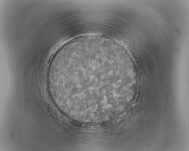 X0000115440337200912020949