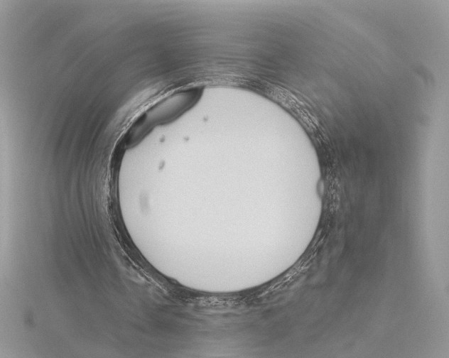 X0000115440338200912020949