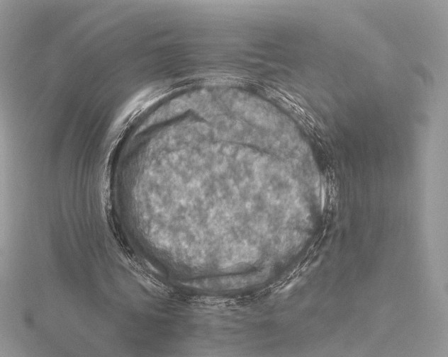 X0000115440339200912020949