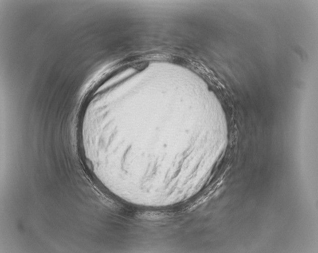 X0000115440341200912020949