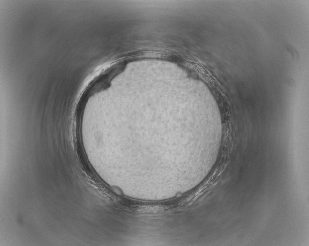 X0000115440342200912020949