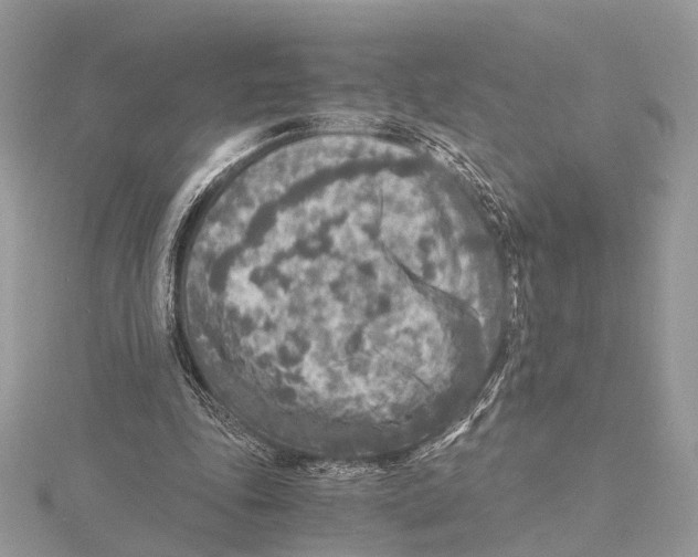 X0000115440343200912020949