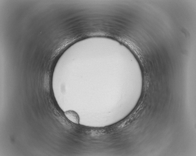 X0000115440345200912020949