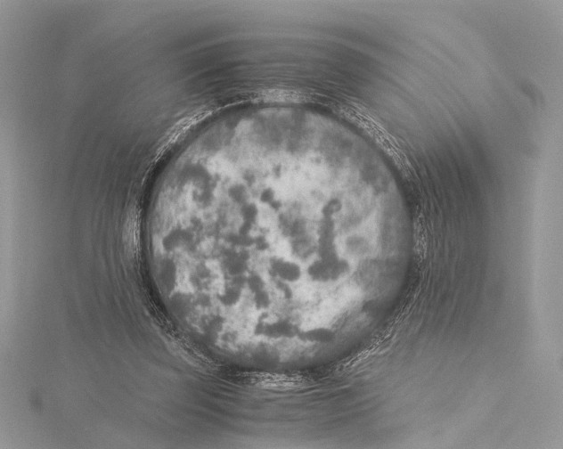 X0000115440347200912020949