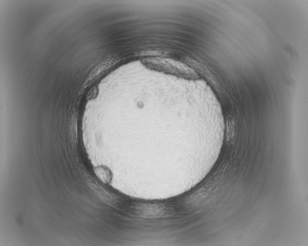 X0000115440349200912020949