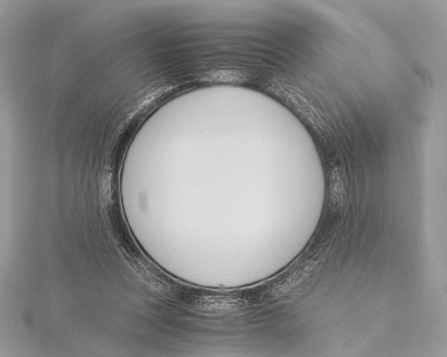 X0000115440351200912020949