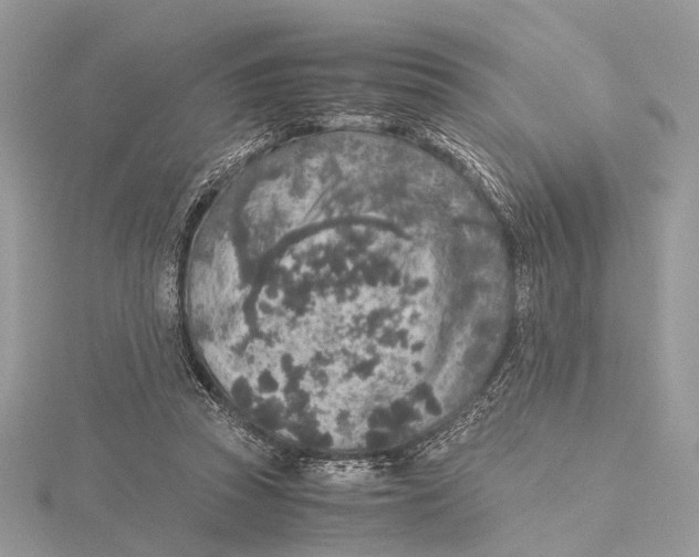 X0000115440353200912020949