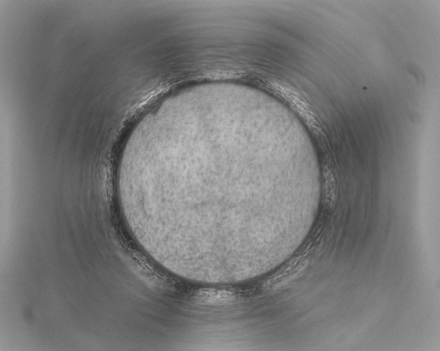 X0000115440354200912020949