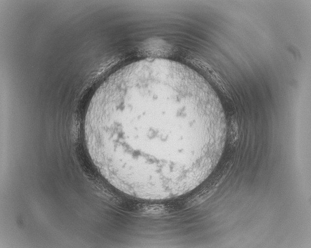 X0000115440355200912020949