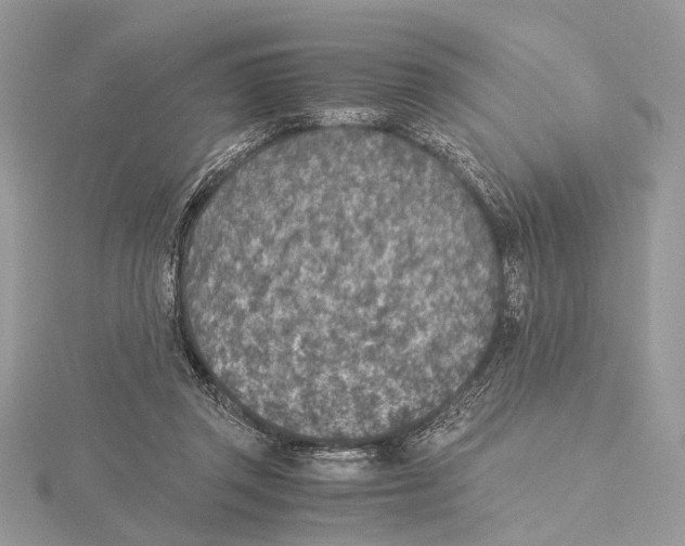 X0000115440357200912020949