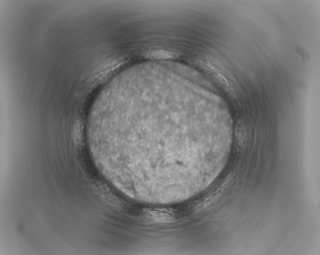 X0000115440359200912020949