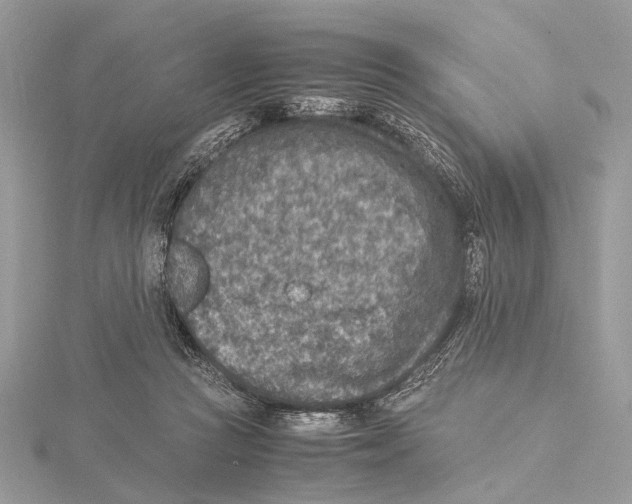 X0000115440361200912020950