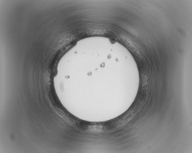 X0000115440362200912020950