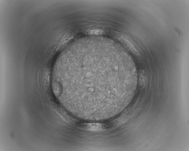 X0000115440363200912020950