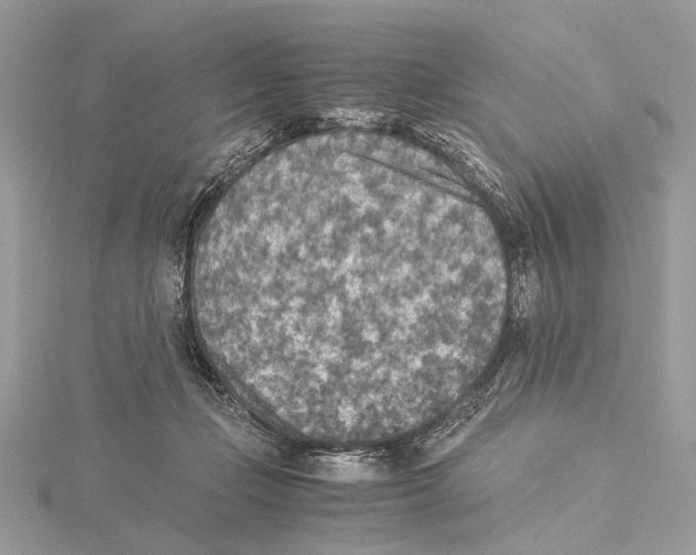 X0000115440365200912020950