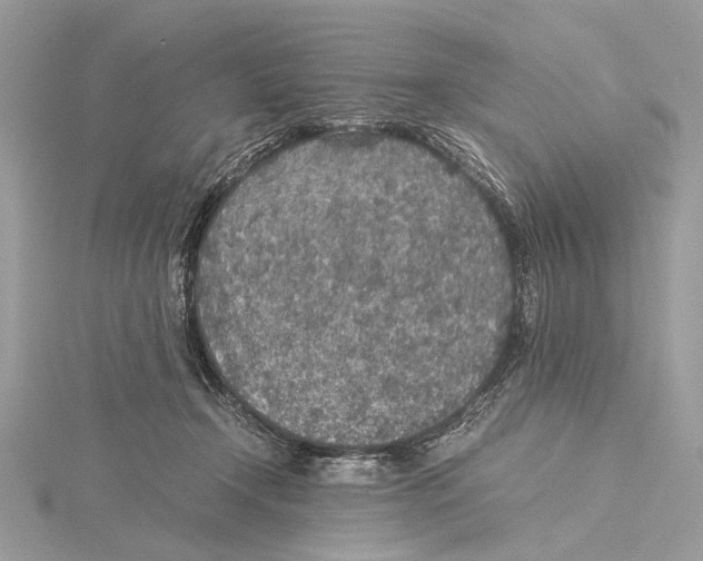 X0000115440366200912020950