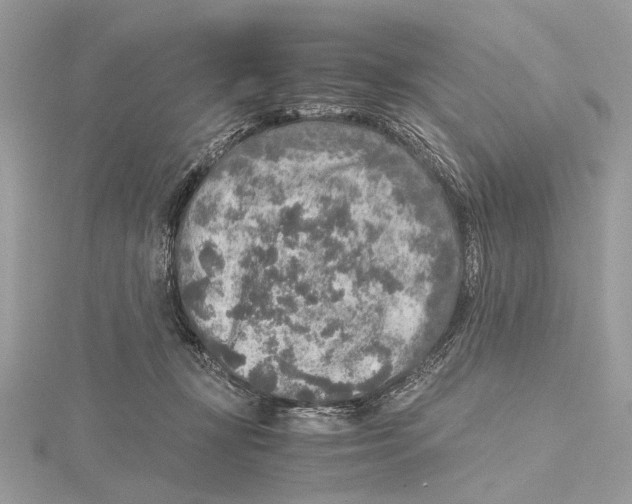 X0000115440367200912020950