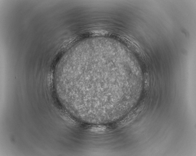 X0000115440369200912020950