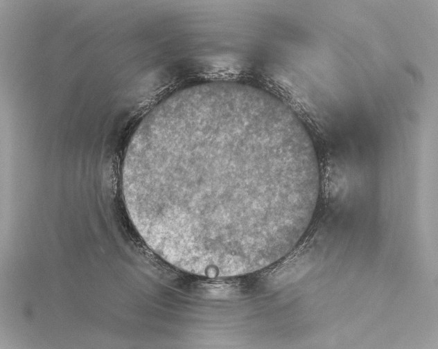 X0000115440370200912020950