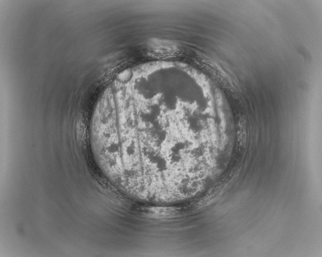 X0000115440371200912020950