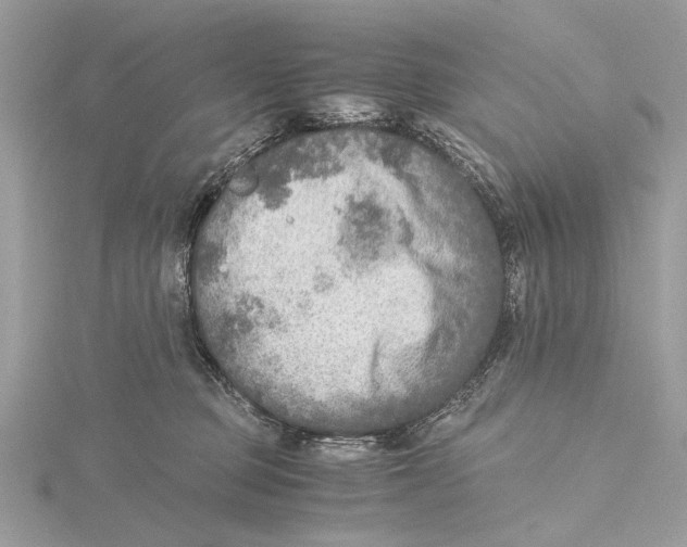 X0000115440373200912020950