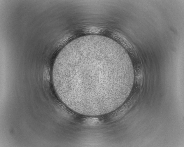 X0000115440374200912020950