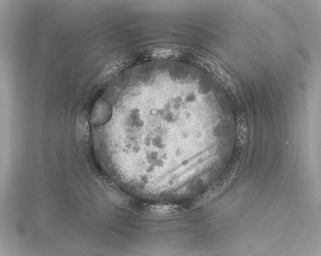 X0000115440375200912020950