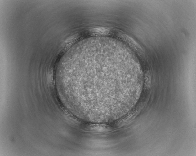 X0000115440377200912020950