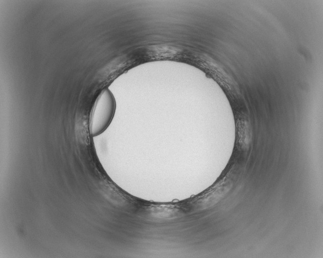 X0000115440378200912020950