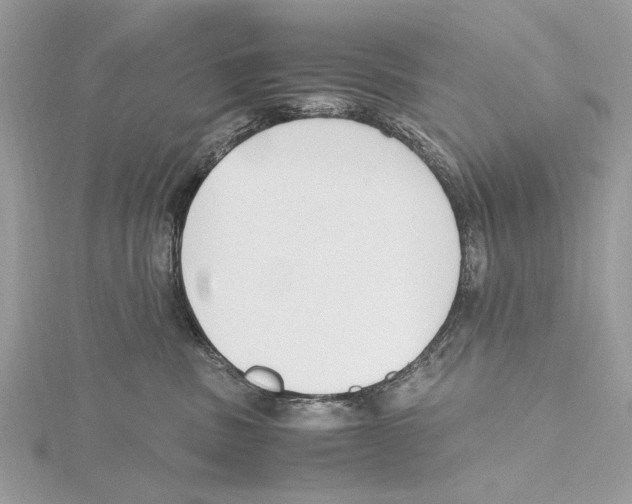 X0000115440379200912020950